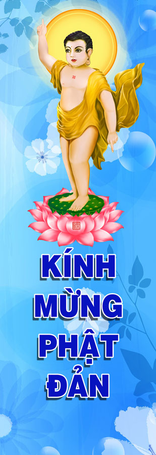 Đản sanh (6555)